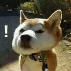 Meet your Posher, Shuwen